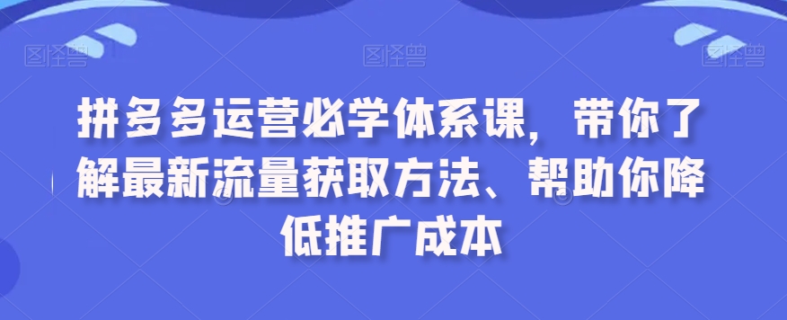 拼多多运营必学体系课,带你了解最新流量获取方法、帮助你降低推广成本插图 拼多多运营必学体系课,带你了解最新流量获取方法、帮助你降低推广成本