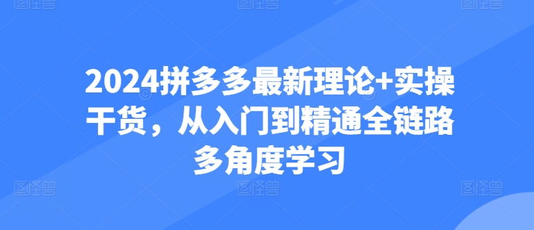 2024拼多多最新理论+实操干货,从入门到精通全链路多角度学习插图 2024拼多多最新理论+实操干货,从入门到精通全链路多角度学习