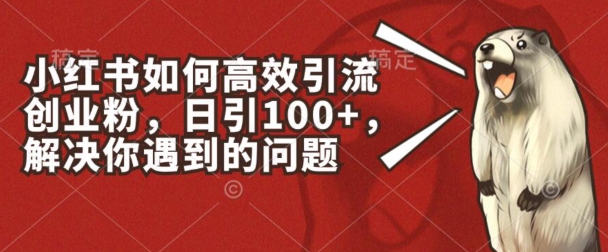 小红书如何高效引流创业粉,日引100+,解决你遇到的问题【揭秘】插图 小红书如何高效引流创业粉,日引100+,解决你遇到的问题【揭秘】