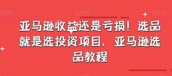 亚马逊收益还是亏损!选品就是选投资项目,亚马逊选品教程插图 亚马逊收益还是亏损!选品就是选投资项目,亚马逊选品教程