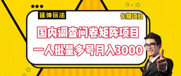 国内调查问卷矩阵项目,一人批量多号月入3000【揭秘】插图 国内调查问卷矩阵项目,一人批量多号月入3000【揭秘】