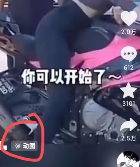 2024年7月苹果手机动图搬运技术插图1 2024年7月苹果手机动图搬运技术