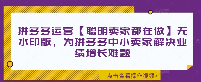 拼多多运营【聪明卖家都在做】无水印版,为拼多多中小卖家解决业绩增长难题插图 拼多多运营【聪明卖家都在做】无水印版,为拼多多中小卖家解决业绩增长难题