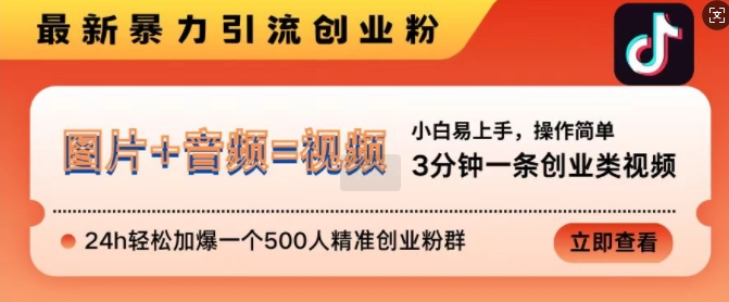 抖音最新暴力引流创业粉,3分钟一条创业类视频,24h轻松加爆一个500人精准创业粉群【揭秘】插图 视频号混剪玩法,2分钟一条视频,单月变现2W+【揭秘】