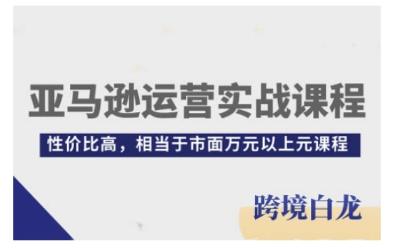 亚马逊运营实战课程,亚马逊从入门到精通,性价比高,相当于市面万元以上元课程插图 亚马逊运营实战课程,亚马逊从入门到精通,性价比高,相当于市面万元以上元课程