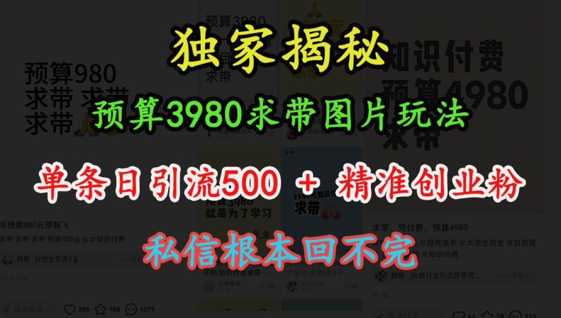 预算3980求带 图片玩法,单条日引流500+精准创业粉,私信根本回不完插图 预算3980求带 图片玩法,单条日引流500+精准创业粉,私信根本回不完
