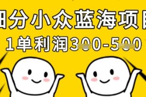 细分小众蓝海项目，一单利润3张，每月收入稳定过1w+