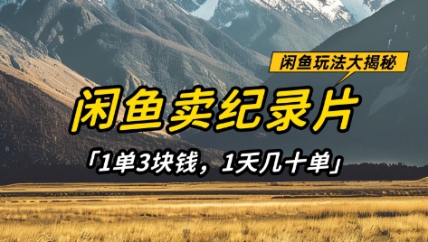 闲鱼卖纪录片1单3块钱,1天几十单,项目稳定有潜力插图 闲鱼卖纪录片1单3块钱,1天几十单,项目稳定有潜力