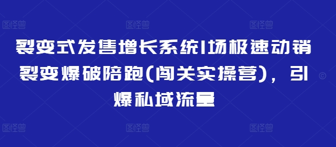 裂变式发售增长系统1场极速动销裂变爆破陪跑(闯关实操营),引爆私域流量插图 裂变式发售增长系统1场极速动销裂变爆破陪跑(闯关实操营),引爆私域流量