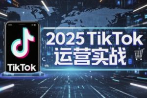 2025TikTok电商运营，掌握TikTok店铺运营核心技巧，实现低成本高转化