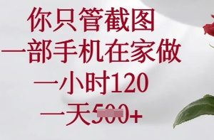 你只管截图，一部手机在家做，一小时120.一天5张【揭秘】