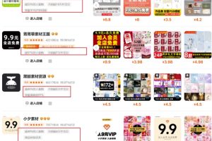 0成本虚拟项目实战手把手教你落地，单店月入5k