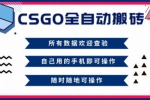 CSGO全自动搬砖,年底钱回家好项目,当天可拿到结果,新手小白轻松月入1W+【揭秘】