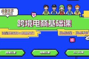 TikTok跨境电商基础课,专为想深耕跨境赛道的粉丝打造,解决抖音外站教学限制痛点