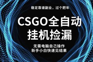 【稳定副业】全球最热门游戏CSGO全自动捡漏,最新玩法,新手小白日入5张+【揭秘】